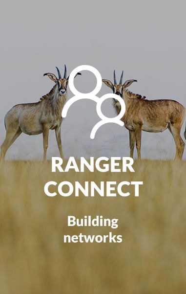 ranger connect